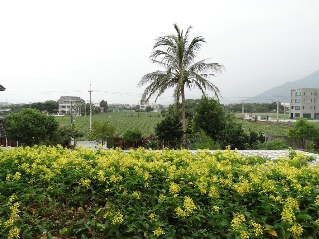花蓮 達芙妮花園民宿 Ji'an Exteriér fotografie
